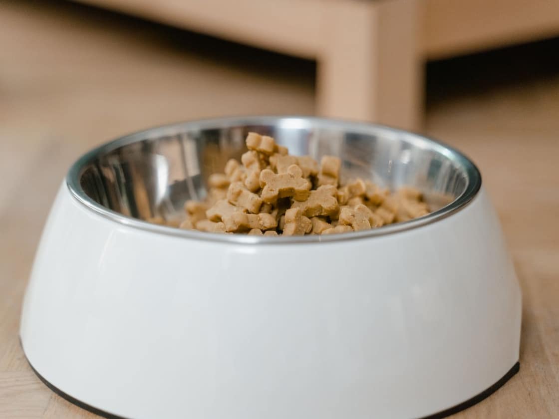 A full bowl of dog food on a wooden floor